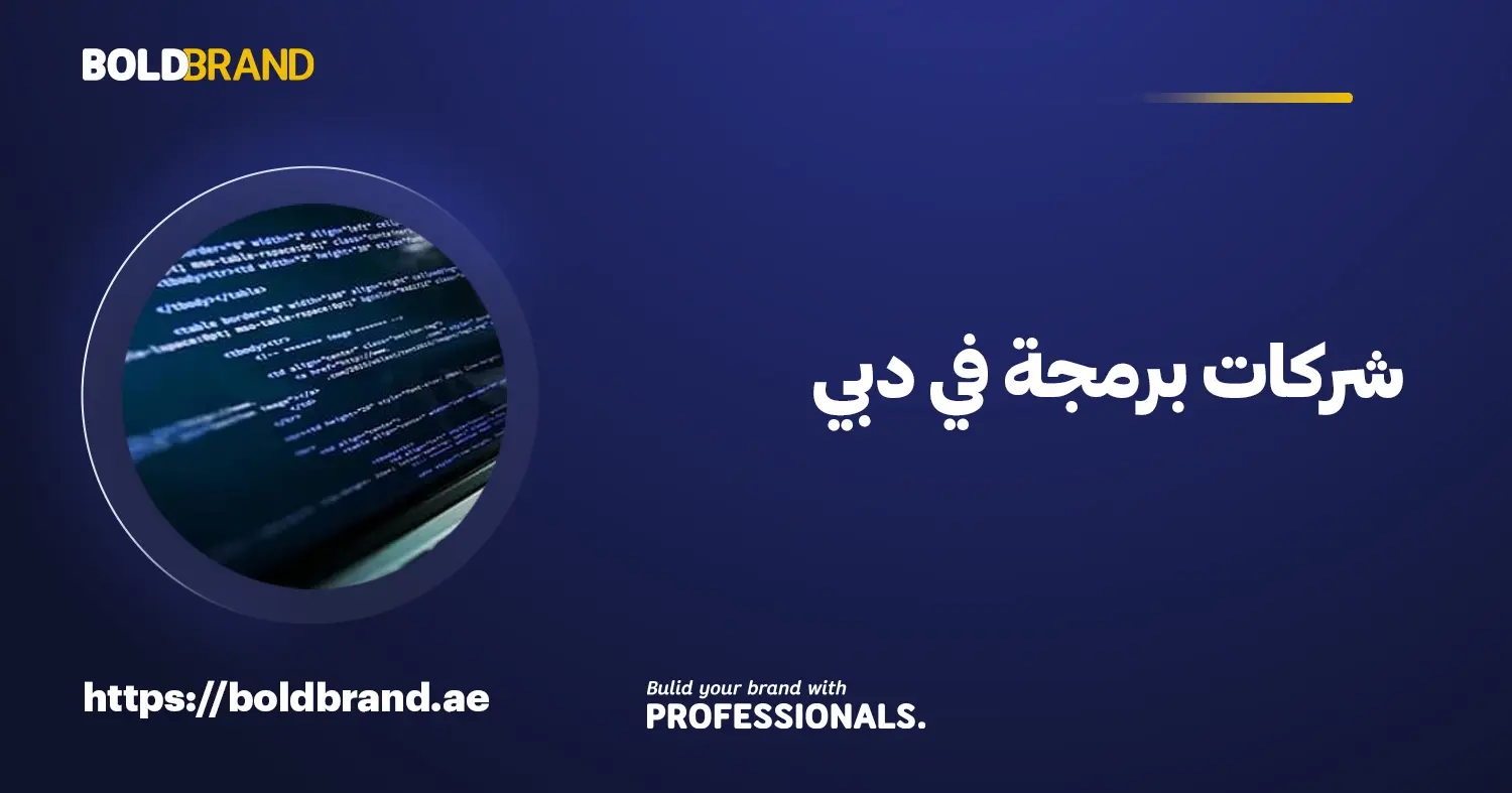 شركات برمجة في دبي